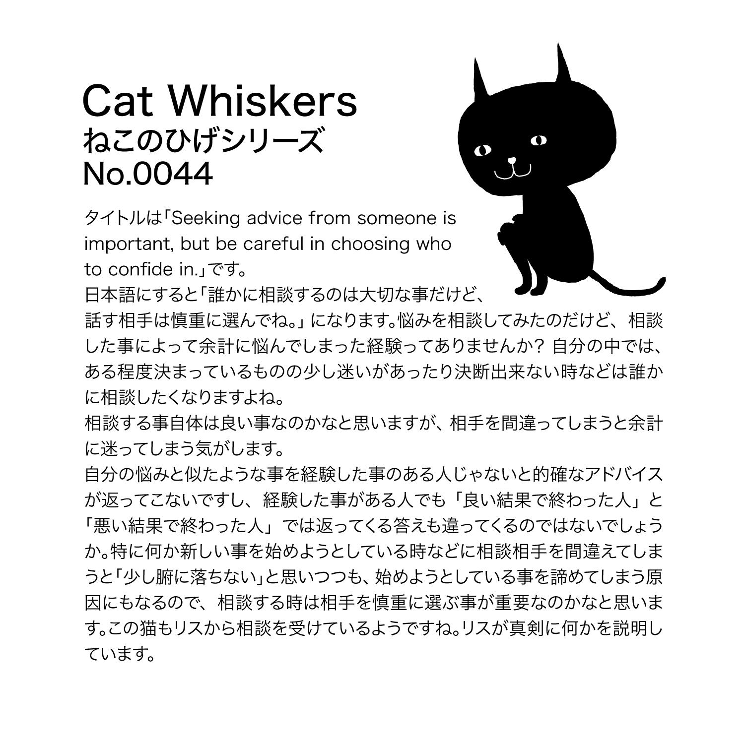 猫　ネコ　ねこ　黒猫　スマホケース　耐衝撃　iPhoneケース　iPhone17　16e　グリップケース　ねこのひげ44 | 8枚目